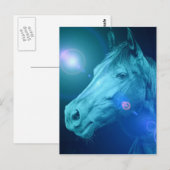 PaardenDesign Briefkaart (Voorkant / Achterkant)