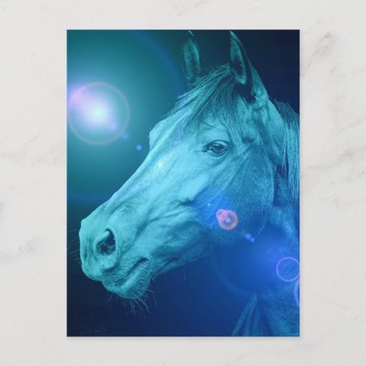 PaardenDesign Briefkaart (Voorkant)