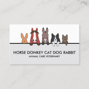 Paardendieren Kat Dog konijn Visitekaartje