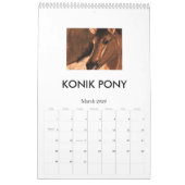 paardendromen, EQUINES Kalender (Mar 2026)