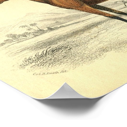 Paardendrukfilter Poster (Hoek)