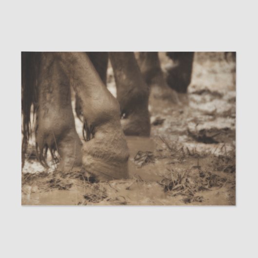 Paardenfeet Westerne Vintage Sepia Brown Rustic Tissuepapier (Voorkant)