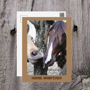 Paardenfluisteraar Twee Paarden Grappige Fotografi Briefkaart