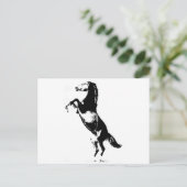 Paardenfok Briefkaart (Staand voorkant)