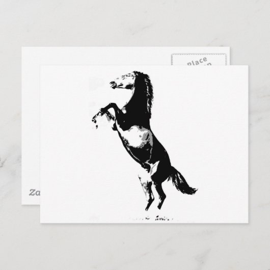 Paardenfok Briefkaart (Voorkant / Achterkant)