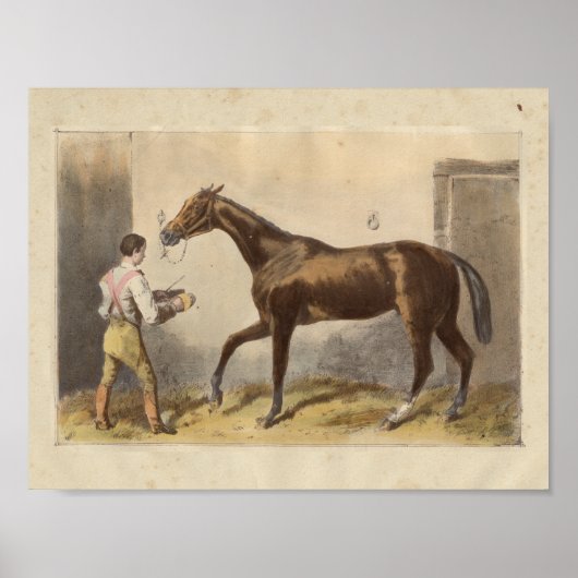  paardenfoto 1873 Thormanby Poster (Voorkant)