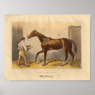  paardenfoto 1873 Thormanby Poster