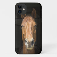 Paardenfoto-Afbeelding