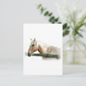 Paardenfoto Briefkaart (Staand voorkant)