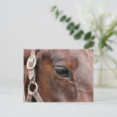 Paardenfoto Briefkaart (Staand voorkant)