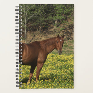 Paardenfoto Equine Kastanje Gele Bloemen Planner