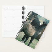 Paardenfoto Equine Mare Foal Planner (Display)