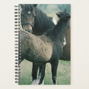 Paardenfoto Equine Mare Foal Planner