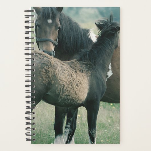 Paardenfoto Equine Mare Foal Planner (Voorkant)