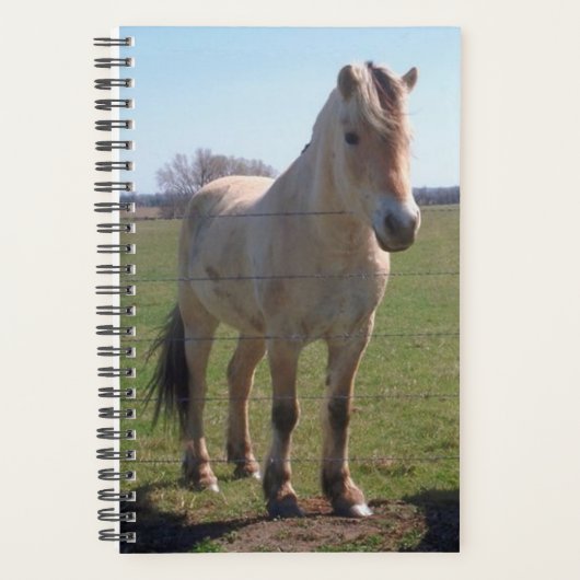 Paardenfoto Equine Norwegian Fjord Planner (Voorkant)