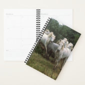 Paardenfoto Equine Running Gray Horse Herd Planner (Display)