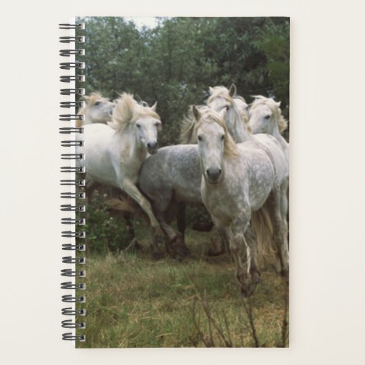 Paardenfoto Equine Running Gray Horse Herd Planner (Voorkant)