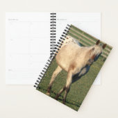 Paardenfoto Equine Walking Appaloosa Planner (Display)