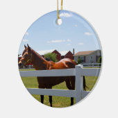 Paardenfoto Keramisch Ornament (Links)