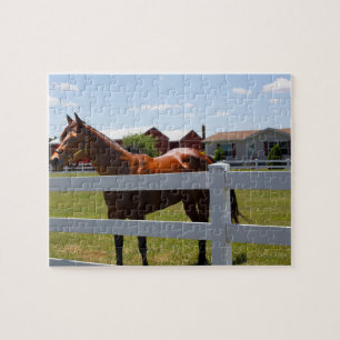Paardenfoto Legpuzzel