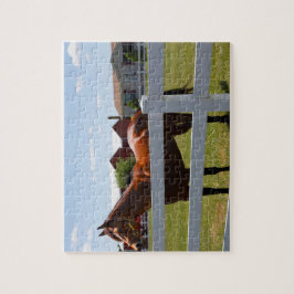 Paardenfoto Legpuzzel