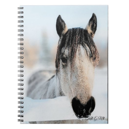 Paardenfoto-Notitieboek Notitieboek (Voorkant)