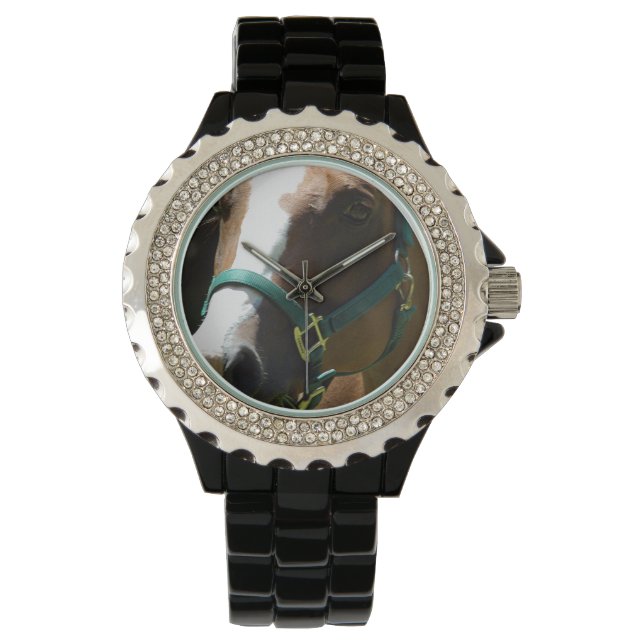 Paardenfoto op vrouwen kijken horloge (Voorkant)