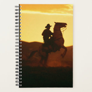 Paardenfoto Paard Cowboy Op Steigerend Paard Planner