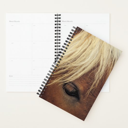 Paardenfoto Paardenpaard White Mane Planner (Display)