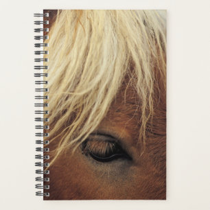 Paardenfoto Paardenpaard White Mane Planner