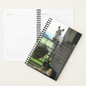 Paardenfoto paardenpaardenhond planner (Display)