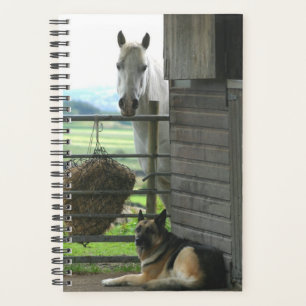 Paardenfoto paardenpaardenhond planner