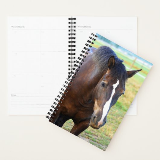 Paardenfoto pasta planner (Display)