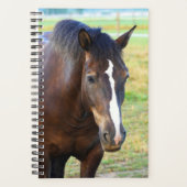 Paardenfoto pasta planner (Voorkant)