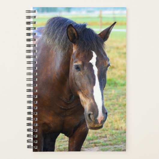 Paardenfoto  pasta planner (Voorkant)