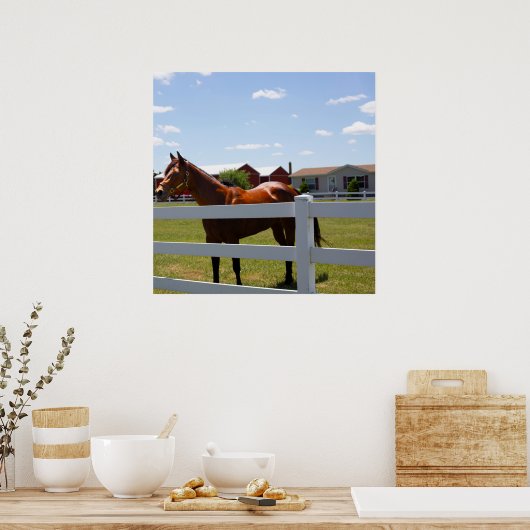 Paardenfoto Poster (Keuken)