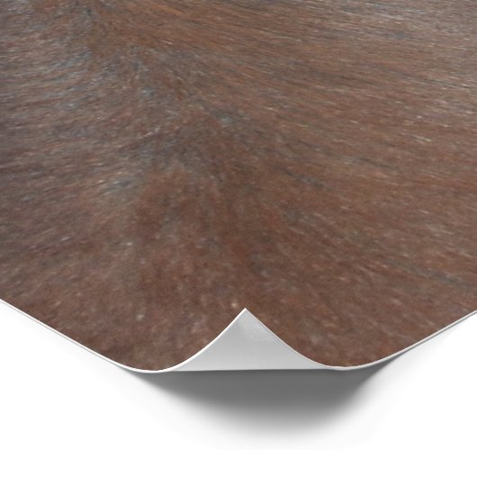 Paardenfoto Poster (Hoek)