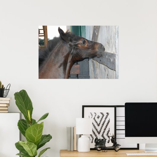 Paardenfoto Poster (Thuiskantoor)