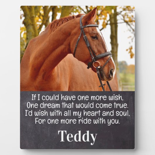 Paardenfoto Sympathie Herdenking paard Memorial Fotoplaat (Voorkant)