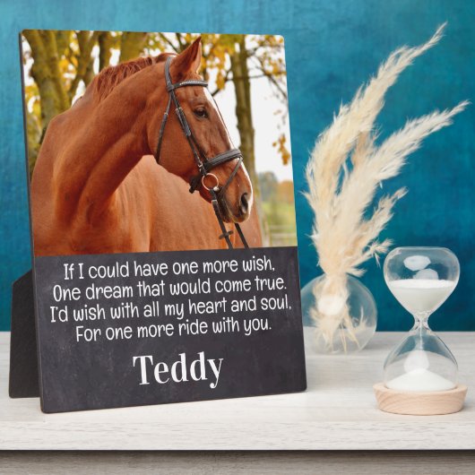 Paardenfoto Sympathie Herdenking paard Memorial Fotoplaat (Zijkant)