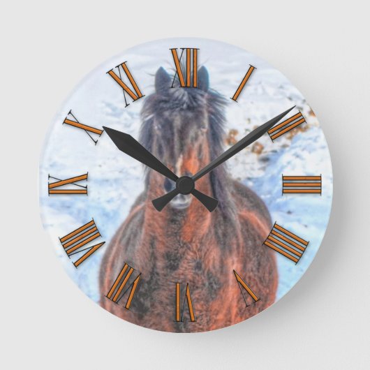 Paardenfoto tijdens de winterperiode "Jaar van de  Ronde Klok (Voorkant)