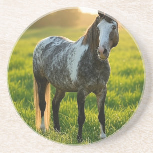 Paardenfoto toevoegen Aanpassen Zandsteen Onderzetter