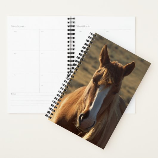 Paardenfoto Westerne achtergrond paardenpaard Planner (Display)