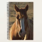 Paardenfoto Westerne achtergrond paardenpaard Planner (Voorkant)