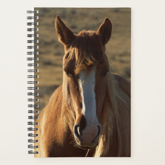 Paardenfoto Westerne achtergrond paardenpaard Planner (Voorkant)
