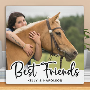 Paardenfoto White Best Friends Fotoplaat