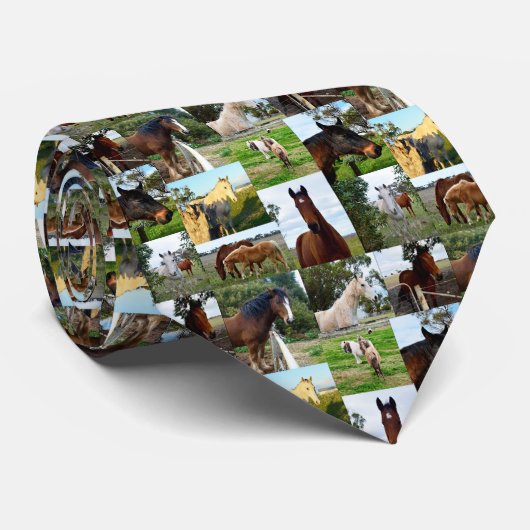 Paardenfotocollage, Stropdas (Opgerold)