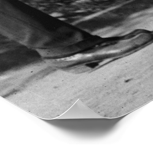 paardenfotografie poster (Hoek)