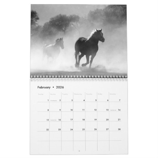 Paardenfotokalender 2026 kalender (Feb 2026)