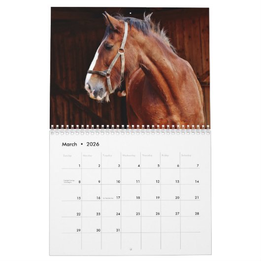 Paardenfotokalender 2026 Mooie muurkalender Kalender (Mar 2026)